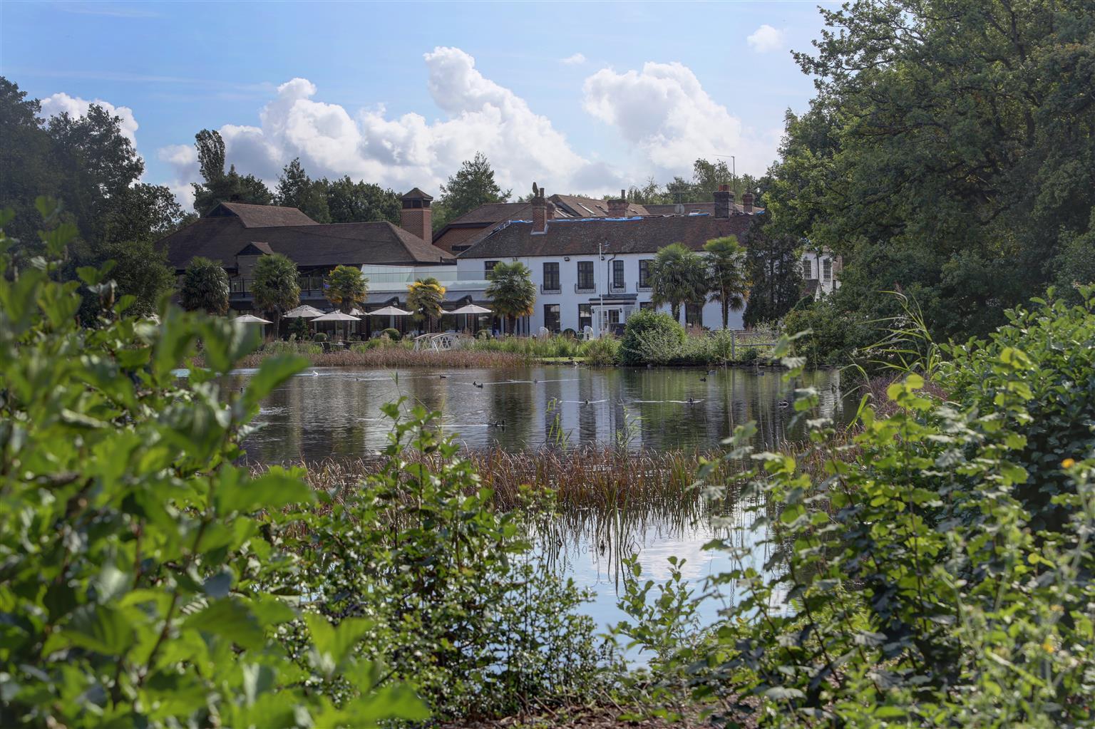 Frensham Pond Country House Hotel & Spa Farnham  Bagian luar foto